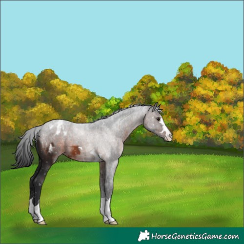 Horse Color:Brown Mushroom Snowflake Varnish 