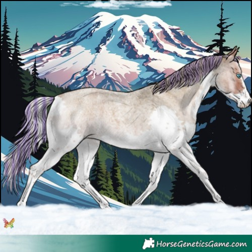 Horse Color:Painted Silver Blue Onyx Roan Splash 