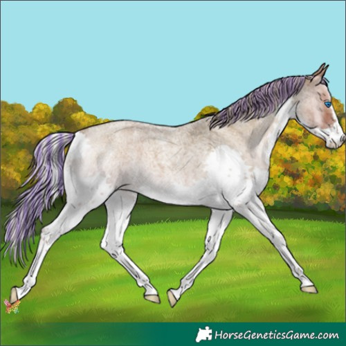 Horse Color:Painted Silver Blue Onyx Roan Splash 
