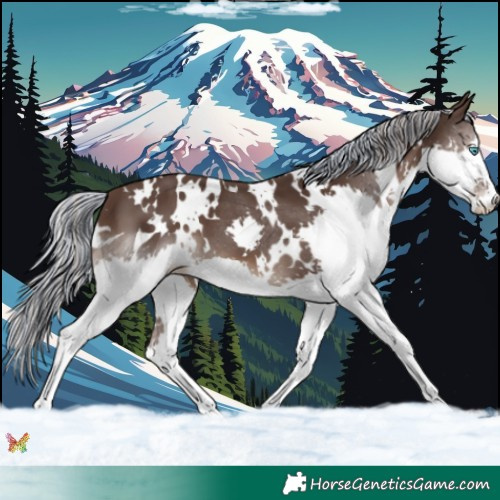 Horse Color:Painted White Spotted Silver Black Splash 