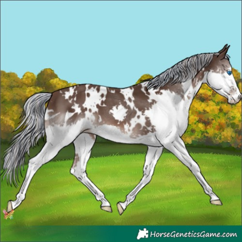 Horse Color:Painted White Spotted Silver Black Splash 