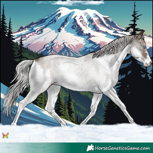 Horse Color:Silver Blue Onyx Ice Roan Splash 