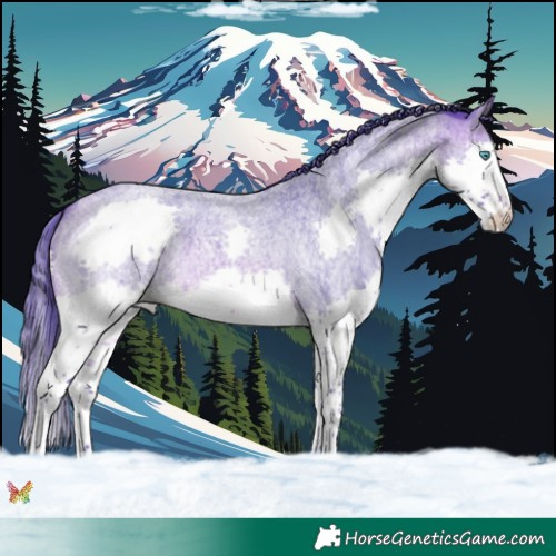 Horse Color:Watercolor Brown Roan Splash 