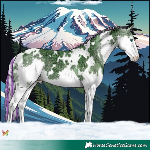 Horse Color:Painted Watercolor White Spotted Silver Black Ice Splash 