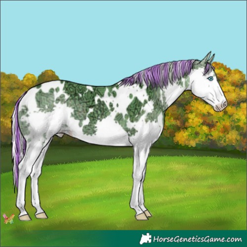 Horse Color:Painted Watercolor White Spotted Silver Black Ice Splash 