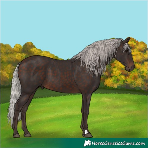 Horse Color:Silver Brown 