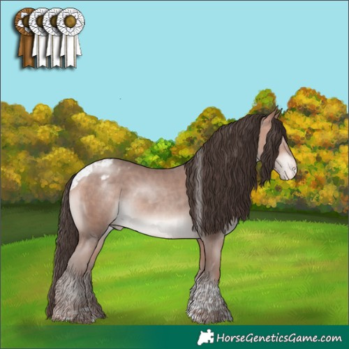 Horse Color:Amber Champagne Mushroom Tobiano Appaloosa Rabicano 