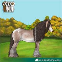 Horse Color:Amber Champagne Mushroom Tobiano Appaloosa Rabicano 