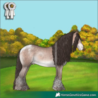 Horse Color:Amber Champagne Mushroom Tobiano Appaloosa Rabicano 