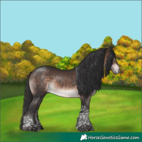 Horse Color:Bay Mushroom Tobiano 
