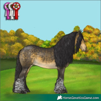 Horse Color:Buckskin Mushroom Tobiano 