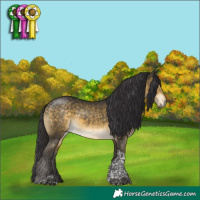 Horse Color:Buckskin Mushroom Tobiano 