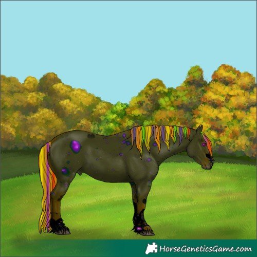 Horse Color:ERROR: UNKNOWN ANOMALY