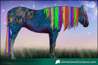 Horse Color:ERROR: UNKNOWN ANOMALY