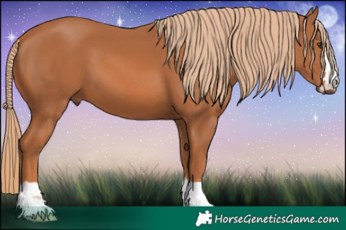 Horse Color:Chestnut 