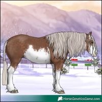 Horse Color:White Spotted Silver Black 