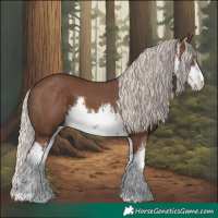 Horse Color:White Spotted Silver Black 