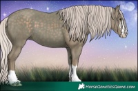 Horse Color:Watercolor Silver Black 