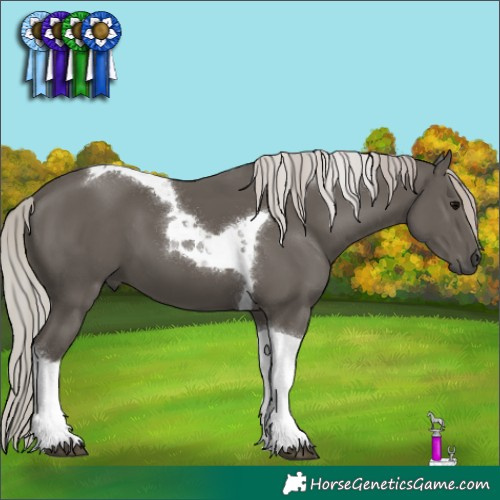 Horse Color:Silver Black Tobiano 