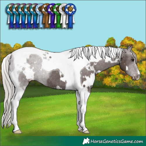 Horse Color:White Spotted Silver Black Tobiano Varnish 