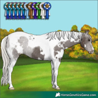 Horse Color:White Spotted Silver Black Tobiano Varnish