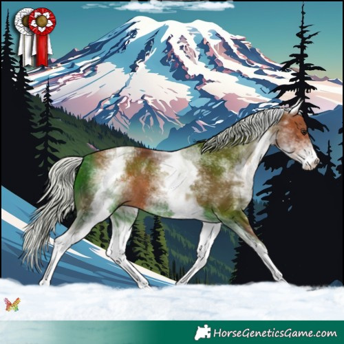 Horse Color:White Spotted Silver Brown 