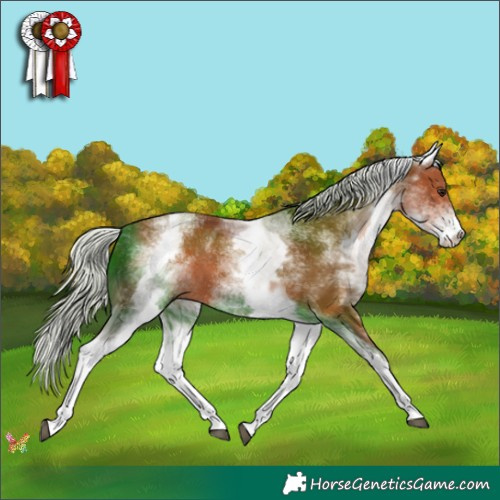 Horse Color:White Spotted Silver Brown 