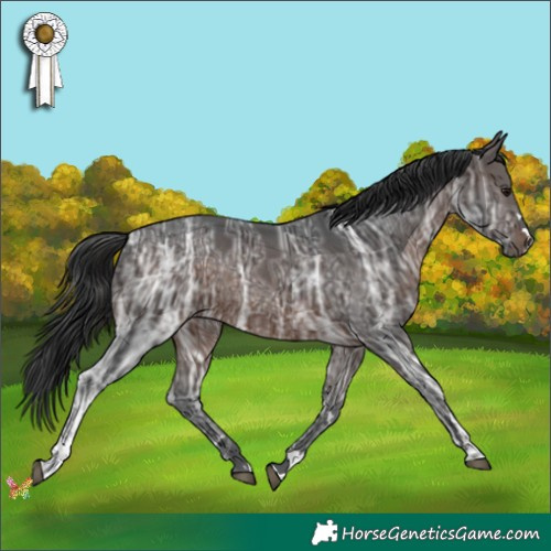 Horse Color:Brown Ice Rabicano 