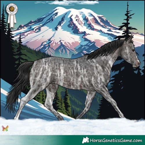Horse Color:Brown Ice Rabicano 