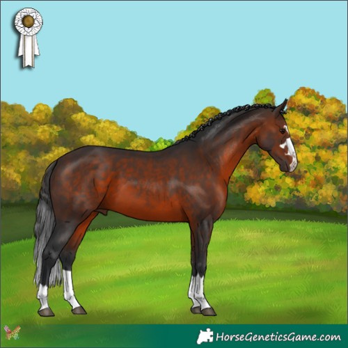 Horse Color:Brown 