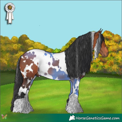 Horse Color:White Spotted Bay 