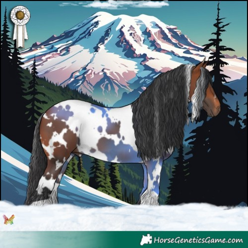 Horse Color:White Spotted Bay 