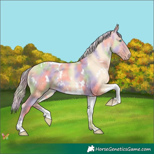 Horse Color:Nacre White Spotted Gold Cream Champagne Dun Tobiano 