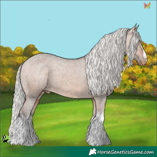 Horse Color:White Spotted Silver Brown Dun Appaloosa 
