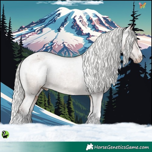 Horse Color:White Spotted Silver Brown Dun Appaloosa 