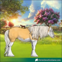Horse Color:Palomino Splash 