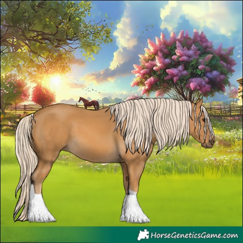 Horse Color:Palomino 