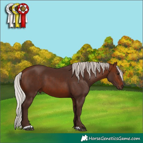 Horse Color:Silver Brown 