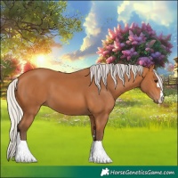Horse Color:Silver Bay 