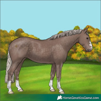 Horse Color:Chocolate Silver Smoky Black 