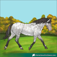 Horse Color:Platinum Brown Roan Dun Near Leopard 