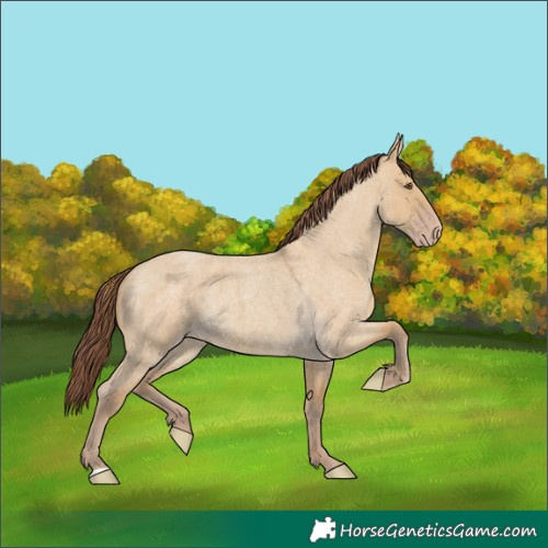 Horse Color:Chocolate Classic Cream Champagne Roan Dun 