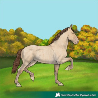 Horse Color:Chocolate Classic Cream Champagne Roan Dun 