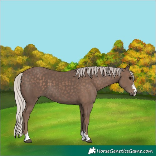 Horse Color:Silver Black 