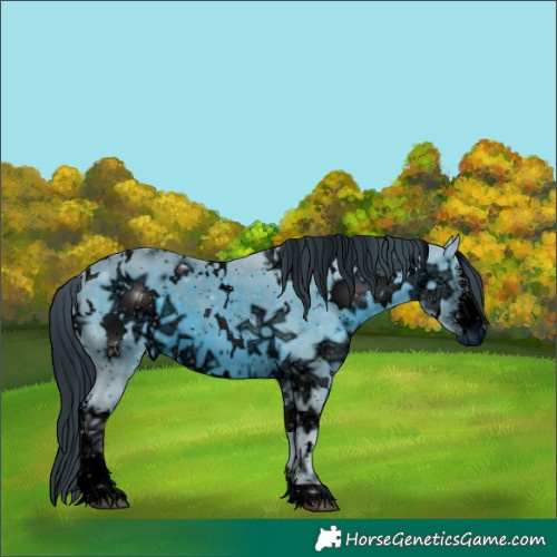 Horse Color:ERROR: UNKNOWN ANOMALY