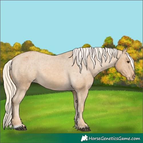 Horse Color:Palomino Varnish