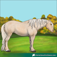 Horse Color:Palomino Varnish 