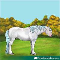 Horse Color:Painted Watercolor Silver Bay Dun Tobiano Rabicano 