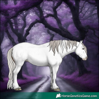 Horse Color:Silver Brown Roan Splash Near Fewspot Rabicano