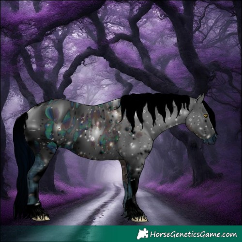 Horse Color:ERROR: UNKNOWN ANOMALY